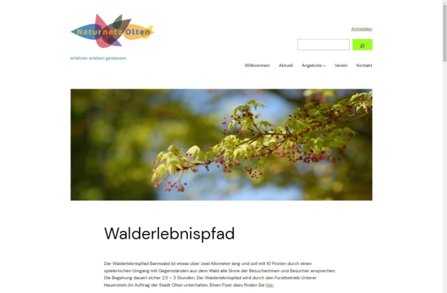 Wald-Erlebnispfad