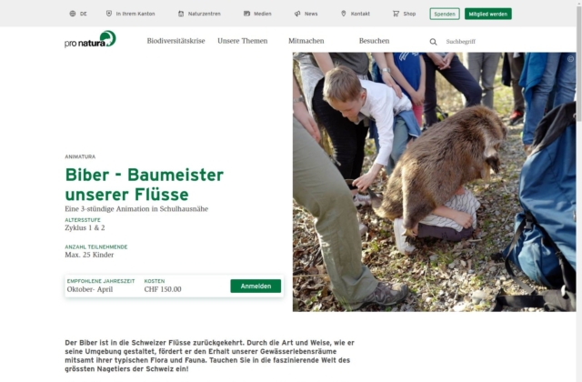 Biber – Baumeister unserer Flüsse