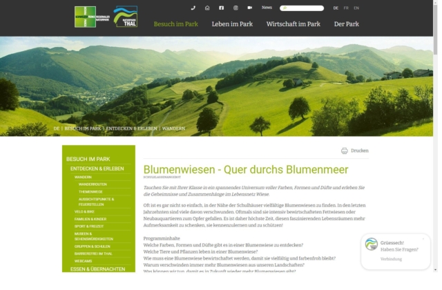 Blumenwiesen – Quer durchs Blumenmeer