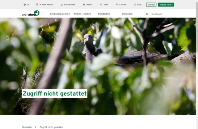 Wildbienen – die grosse Welt der kleinen Bienen