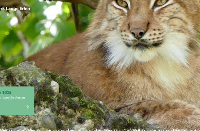 Tierpark Lange Erlen