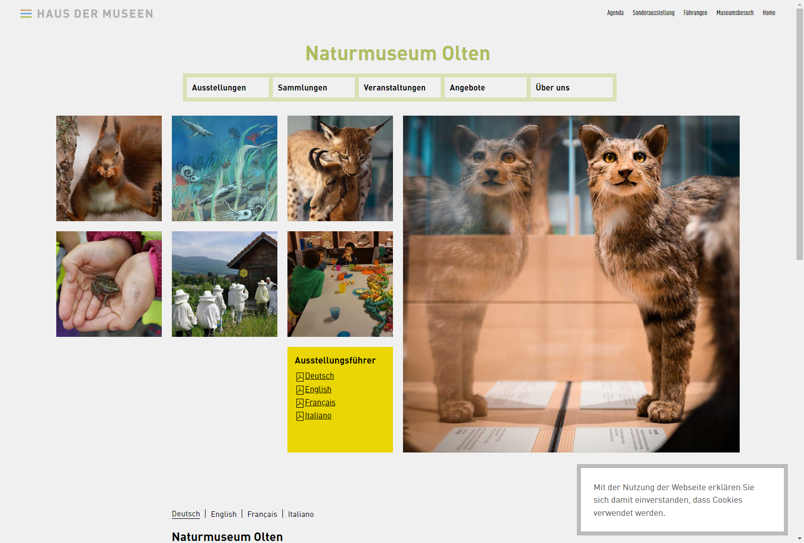 Naturmuseum Olten – Haus der Museen