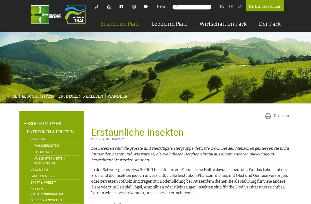Blumenwiesen – Quer durchs Blumenmeer